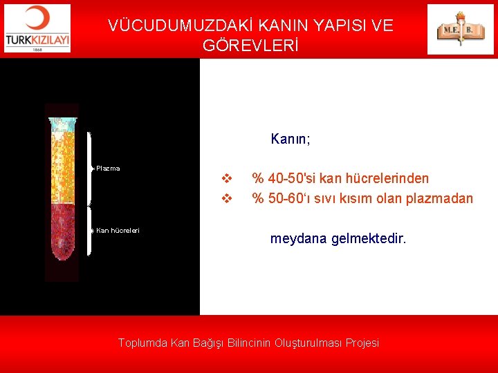 VÜCUDUMUZDAKİ KANIN YAPISI VE GÖREVLERİ Kanın; Plazma Kan hücreleri v v % 40 -50'si