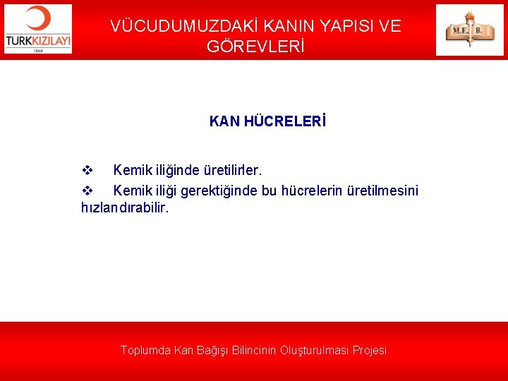 VÜCUDUMUZDAKİ KANIN YAPISI VE GÖREVLERİ KAN HÜCRELERİ v Kemik iliğinde üretilirler. v Kemik iliği
