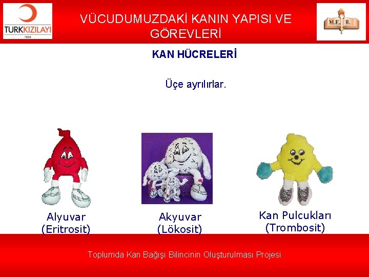 VÜCUDUMUZDAKİ KANIN YAPISI VE GÖREVLERİ KAN HÜCRELERİ Üçe ayrılırlar. Alyuvar (Eritrosit) Akyuvar (Lökosit) Kan