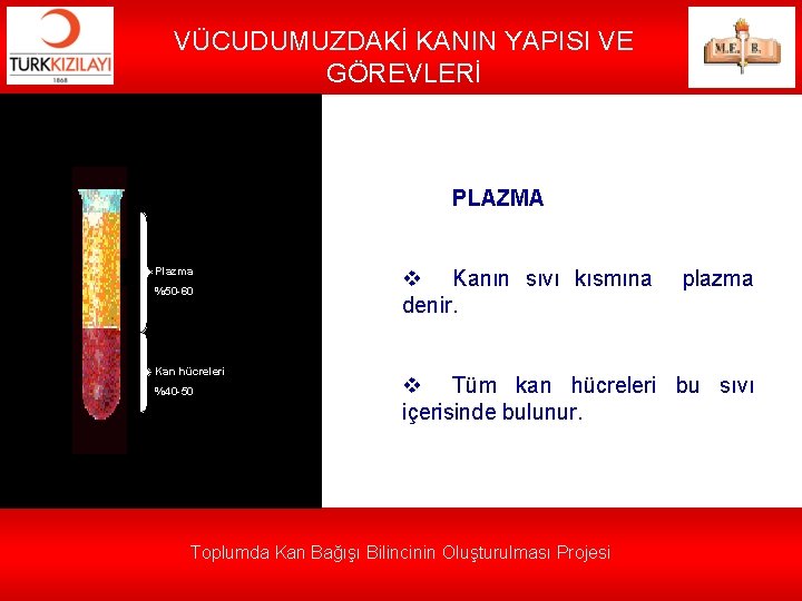 VÜCUDUMUZDAKİ KANIN YAPISI VE GÖREVLERİ PLAZMA Plazma %50 -60 Kan hücreleri %40 -50 v