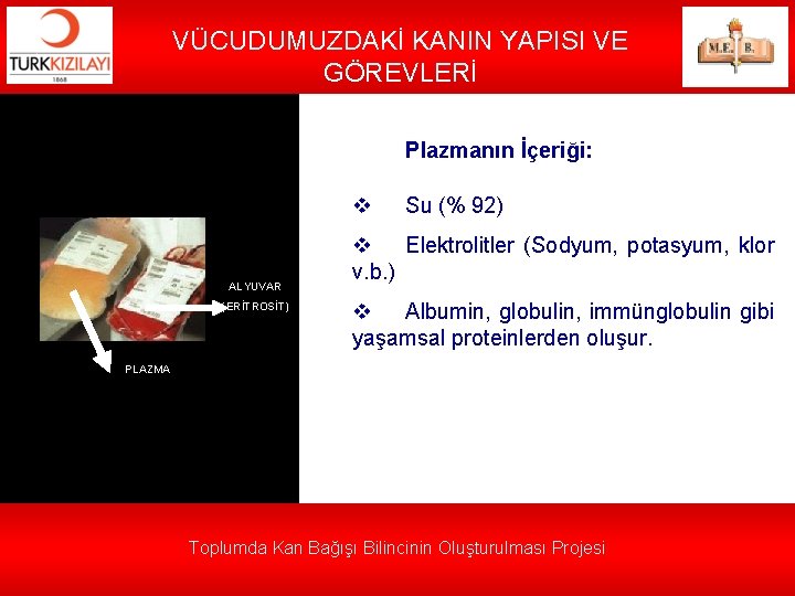 VÜCUDUMUZDAKİ KANIN YAPISI VE GÖREVLERİ Plazmanın İçeriği: v ALYUVAR (ERİTROSİT) Su (% 92) v