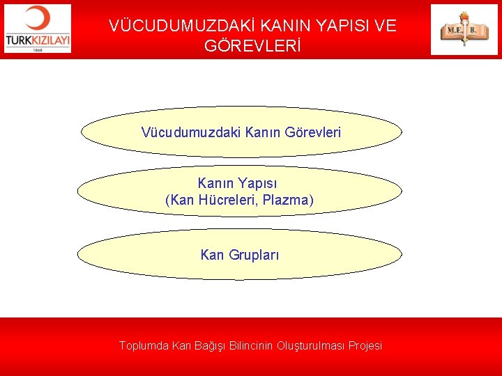 VÜCUDUMUZDAKİ KANIN YAPISI VE GÖREVLERİ Vücudumuzdaki Kanın Görevleri Kanın Yapısı (Kan Hücreleri, Plazma) Kan