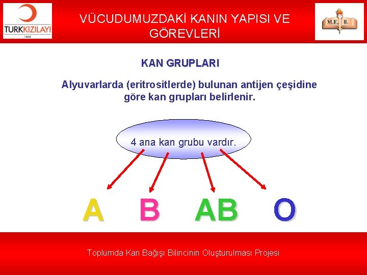 VÜCUDUMUZDAKİ KANIN YAPISI VE GÖREVLERİ KAN GRUPLARI Alyuvarlarda (eritrositlerde) bulunan antijen çeşidine göre kan