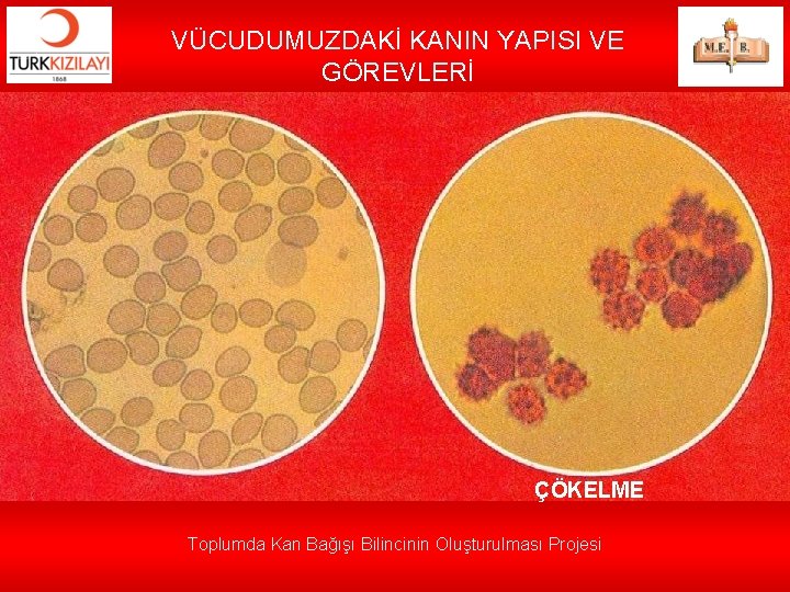 VÜCUDUMUZDAKİ KANIN YAPISI VE GÖREVLERİ ÇÖKELME Toplumda Kan Bağışı Bilincinin Oluşturulması Projesi 