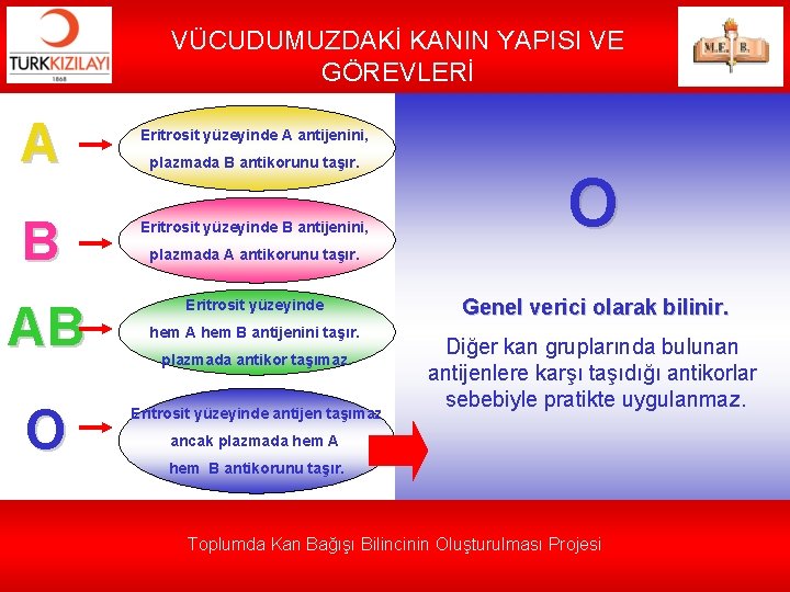 VÜCUDUMUZDAKİ KANIN YAPISI VE GÖREVLERİ A B AB O Eritrosit yüzeyinde A antijenini, plazmada
