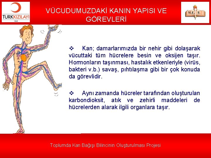 VÜCUDUMUZDAKİ KANIN YAPISI VE GÖREVLERİ v Kan; damarlarımızda bir nehir gibi dolaşarak vücuttaki tüm