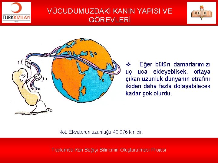 VÜCUDUMUZDAKİ KANIN YAPISI VE GÖREVLERİ v Eğer bütün damarlarımızı uç uca ekleyebilsek, ortaya çıkan