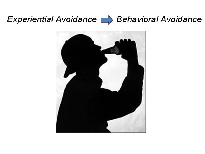 Experiential Avoidance Behavioral Avoidance 