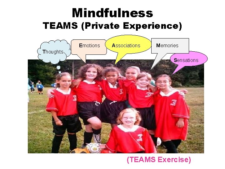 Mindfulness TEAMS (Private Experience) Emotions Associations Memories Thoughts Sensations (TEAMS Exercise) 