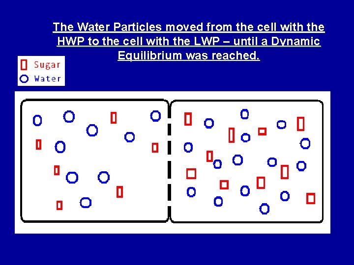 The Water Particles moved from the cell with the HWP to the cell with