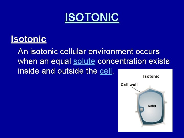 ISOTONIC Isotonic An isotonic cellular environment occurs when an equal solute concentration exists inside
