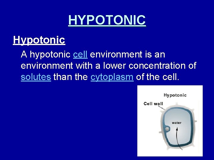 HYPOTONIC Hypotonic A hypotonic cell environment is an environment with a lower concentration of