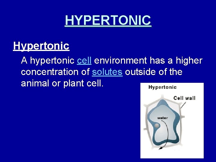 HYPERTONIC Hypertonic A hypertonic cell environment has a higher concentration of solutes outside of