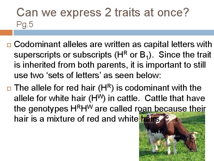Can we express 2 traits at once? Pg. 5 Codominant alleles are written as