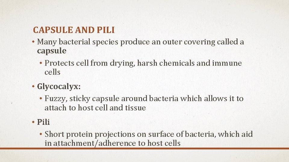 CAPSULE AND PILI • Many bacterial species produce an outer covering called a capsule CAPSULE AND PILI • Many bacterial species produce an outer covering called a capsule