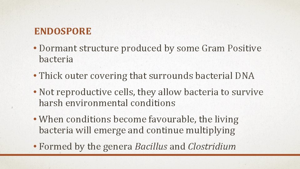 ENDOSPORE • Dormant structure produced by some Gram Positive bacteria • Thick outer covering ENDOSPORE • Dormant structure produced by some Gram Positive bacteria • Thick outer covering