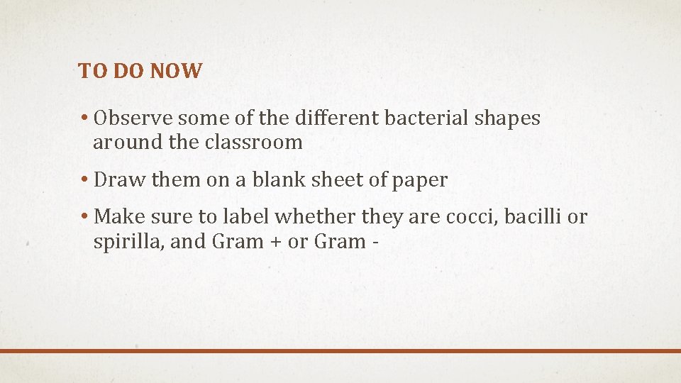 TO DO NOW • Observe some of the different bacterial shapes around the classroom TO DO NOW • Observe some of the different bacterial shapes around the classroom
