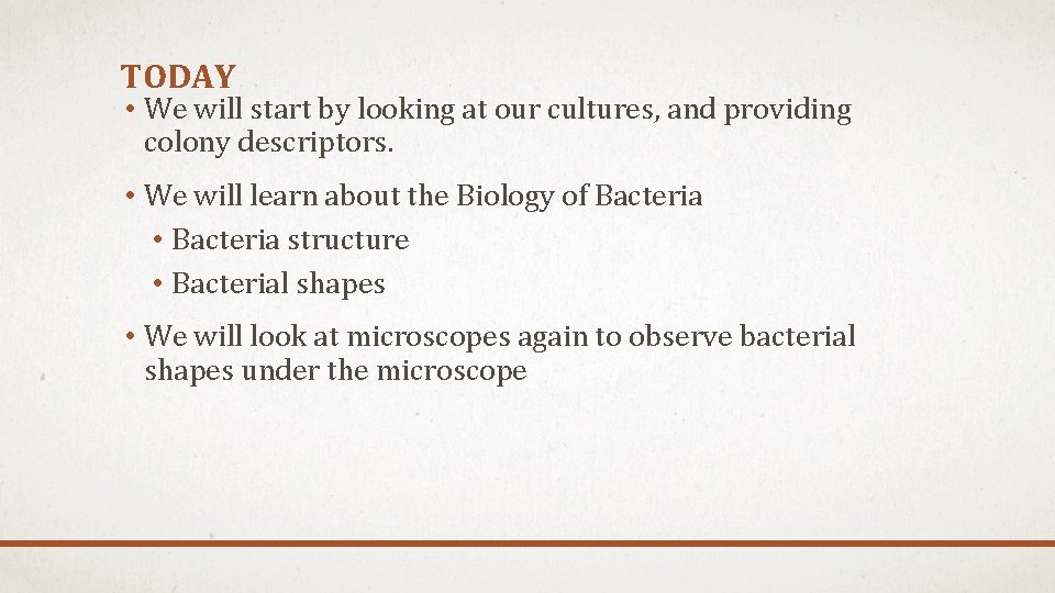 TODAY • We will start by looking at our cultures, and providing colony descriptors. TODAY • We will start by looking at our cultures, and providing colony descriptors.