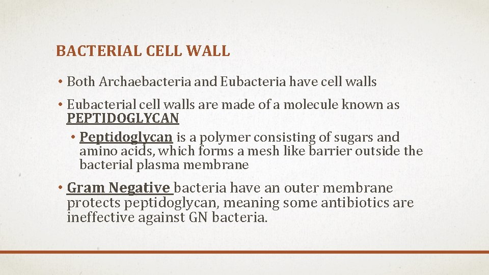 BACTERIAL CELL WALL • Both Archaebacteria and Eubacteria have cell walls • Eubacterial cell BACTERIAL CELL WALL • Both Archaebacteria and Eubacteria have cell walls • Eubacterial cell