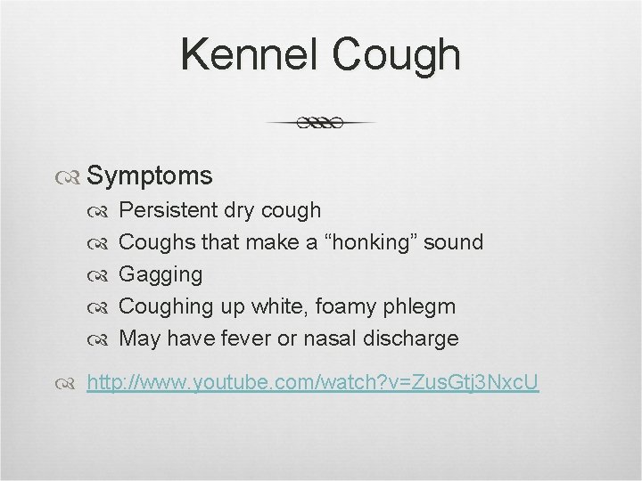 Communicable Dog Diseases Sarcoptic Mange Symptoms Intense itching