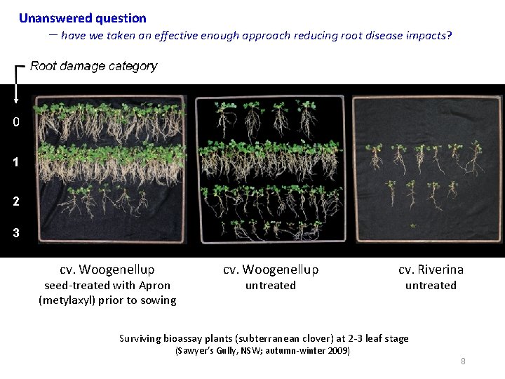 Unanswered question – have we taken an effective enough approach reducing root disease impacts?