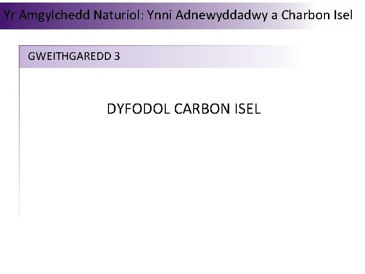 Yr Amgylchedd Naturiol: Ynni Adnewyddadwy a Charbon Isel GWEITHGAREDD 3 DYFODOL CARBON ISEL 