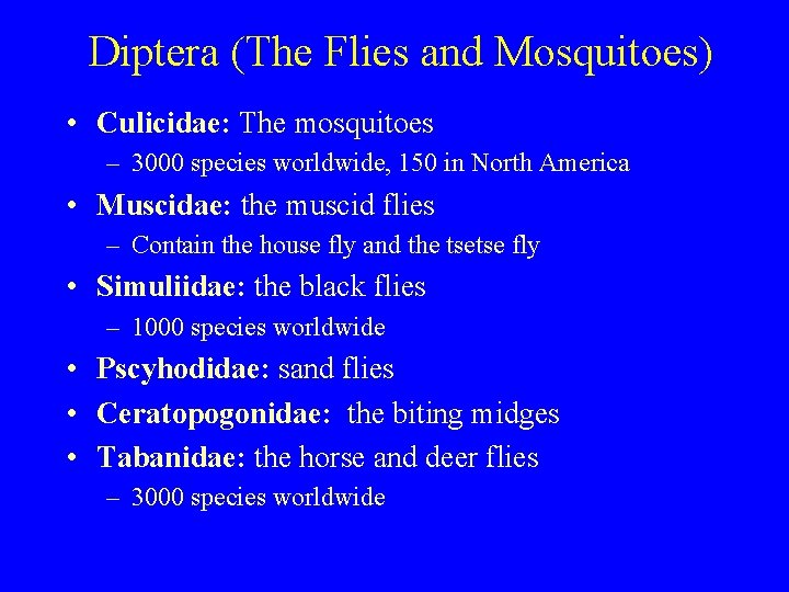 Diptera (The Flies and Mosquitoes) • Culicidae: The mosquitoes – 3000 species worldwide, 150