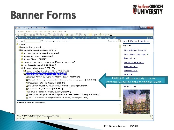Banner Forms FWIBDSR: Allows ability to view revenue/expense data at various levels SOU Business
