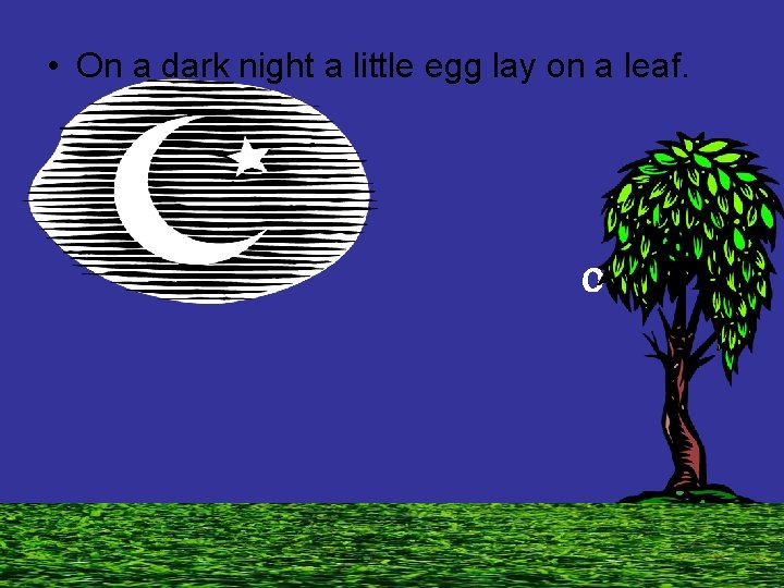  • On a dark night a little egg lay on a leaf. O