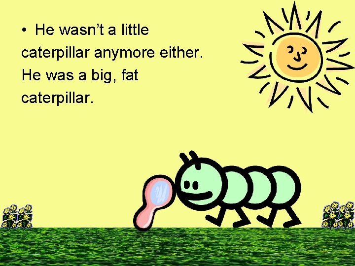  • He wasn’t a little caterpillar anymore either. He was a big, fat