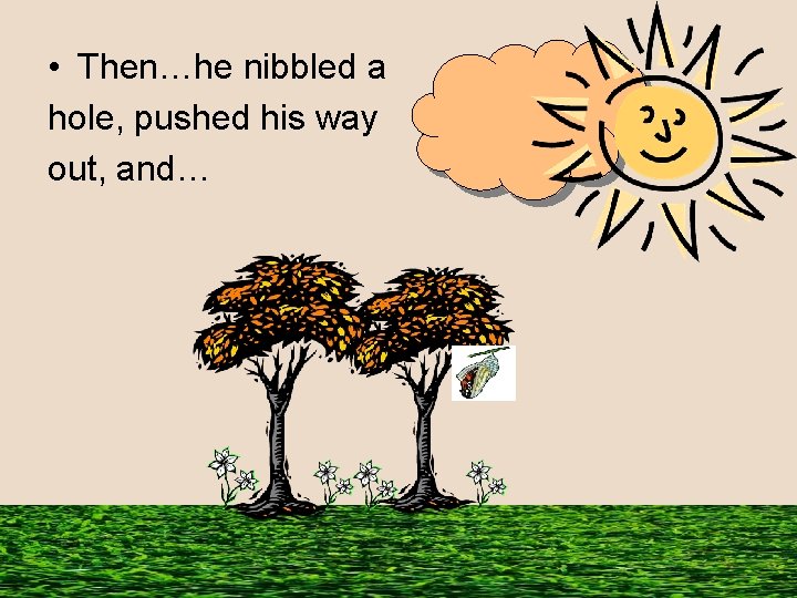 • Then…he nibbled a hole, pushed his way out, and… 