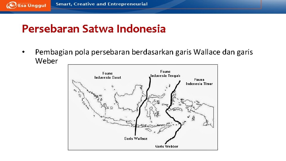 Persebaran Satwa Indonesia • Pembagian pola persebaran berdasarkan garis Wallace dan garis Weber 