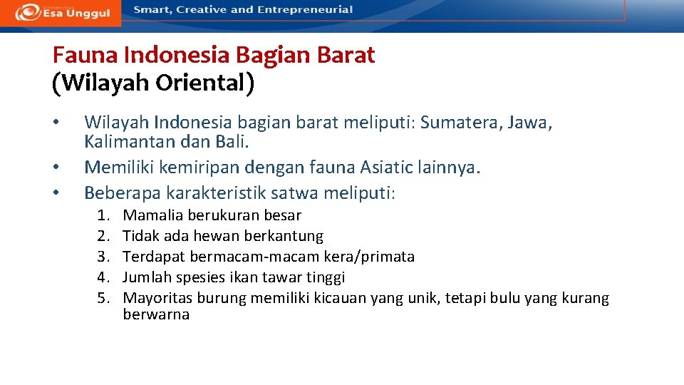 Fauna Indonesia Bagian Barat (Wilayah Oriental) • • • Wilayah Indonesia bagian barat meliputi: