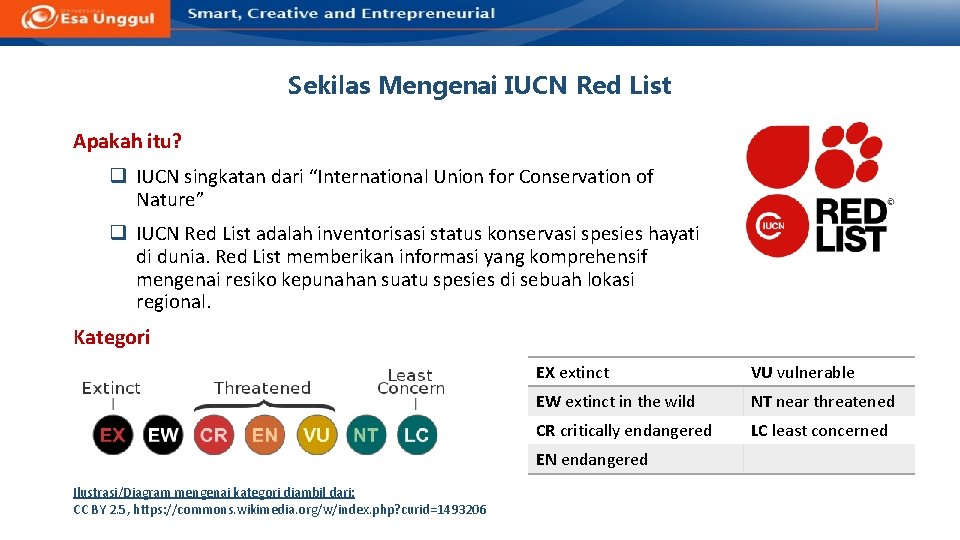 Sekilas Mengenai IUCN Red List Apakah itu? q IUCN singkatan dari “International Union for