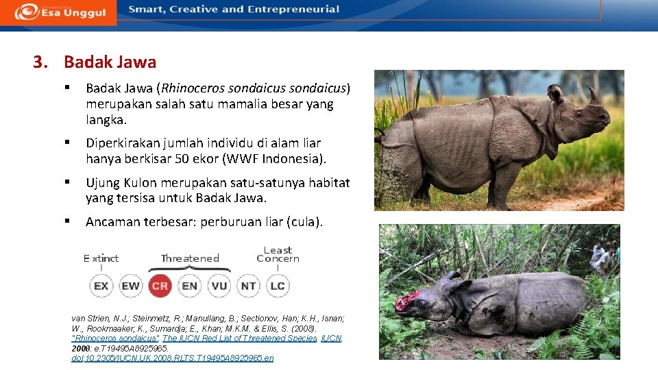 3. Badak Jawa § Badak Jawa (Rhinoceros sondaicus) merupakan salah satu mamalia besar yang