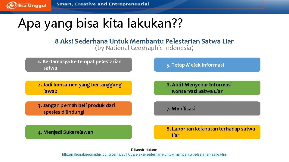 Apa yang bisa kita lakukan? ? 8 Aksi Sederhana Untuk Membantu Pelestarian Satwa Liar