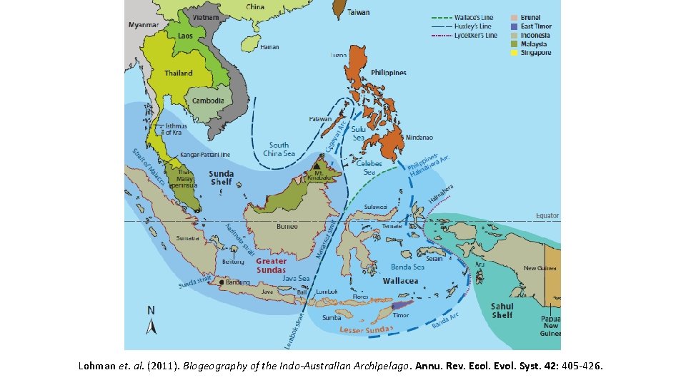 Lohman et. al. (2011). Biogeography of the Indo-Australian Archipelago. Annu. Rev. Ecol. Evol. Syst.