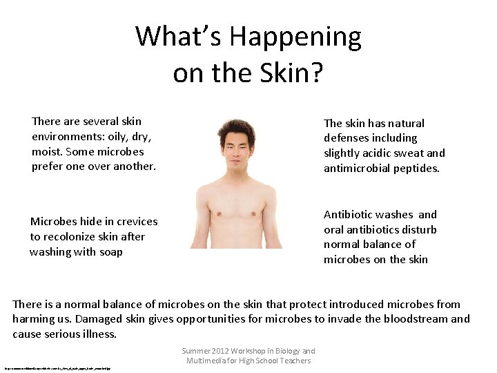 What’s Happening on the Skin? There are several skin environments: oily, dry, moist. Some