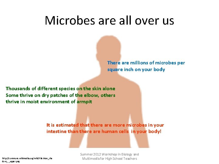 Microbes are all over us There are millions of microbes per square inch on