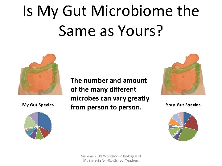 Is My Gut Microbiome the Same as Yours? My Gut Species The number and
