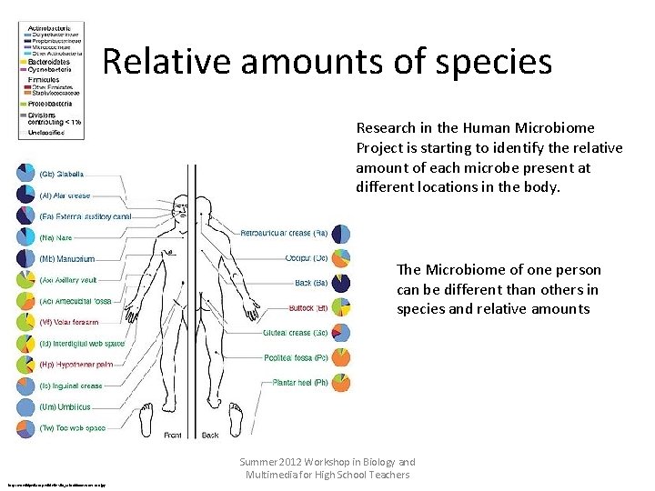 Relative amounts of species Research in the Human Microbiome Project is starting to identify