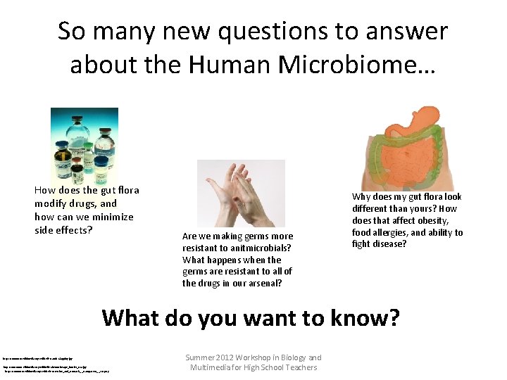 So many new questions to answer about the Human Microbiome… How does the gut