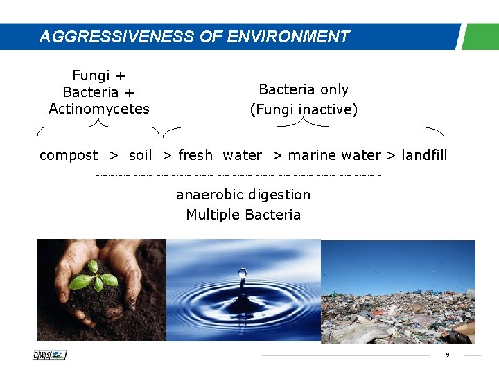 AGGRESSIVENESS OF ENVIRONMENT Fungi + Bacteria + Actinomycetes Bacteria only (Fungi inactive) compost >