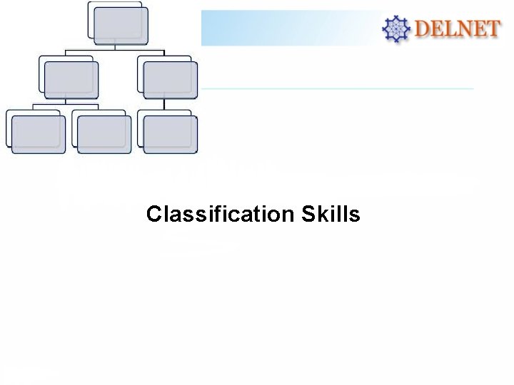 Classification Skills 