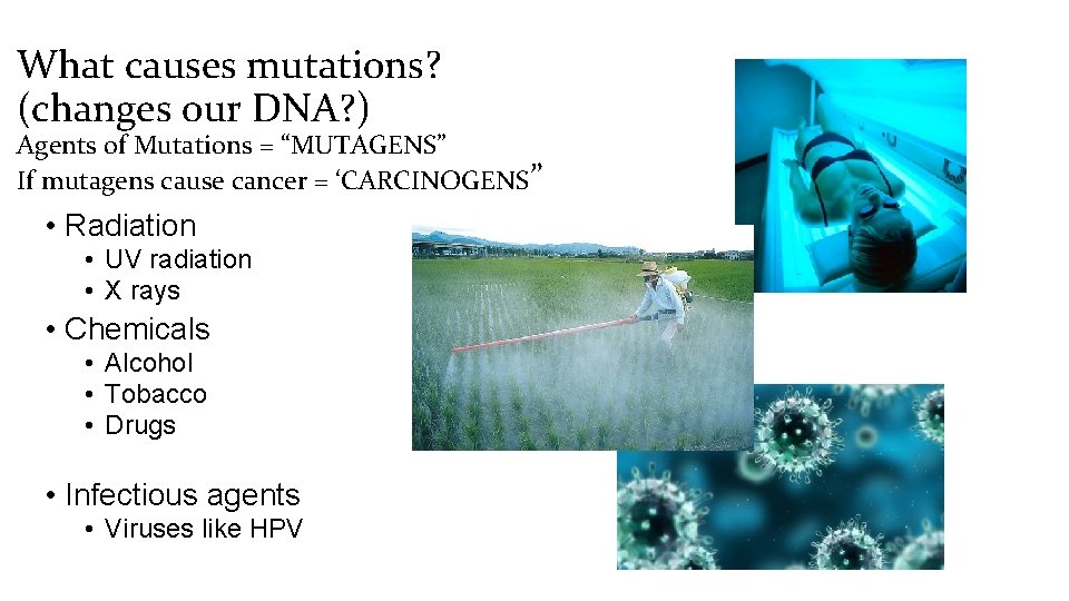 What causes mutations? (changes our DNA? ) Agents of Mutations = “MUTAGENS” If mutagens