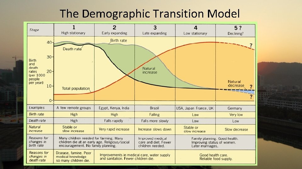 The Demographic Transition Model 