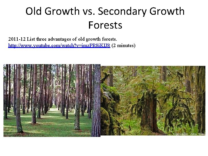 Old Growth vs. Secondary Growth Forests 2011 -12 List three advantages of old growth