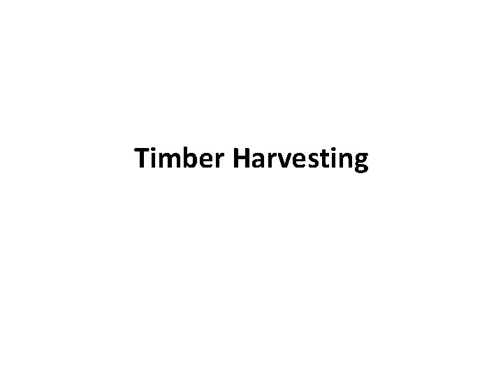 Timber Harvesting 