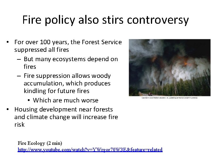 Fire policy also stirs controversy • For over 100 years, the Forest Service suppressed