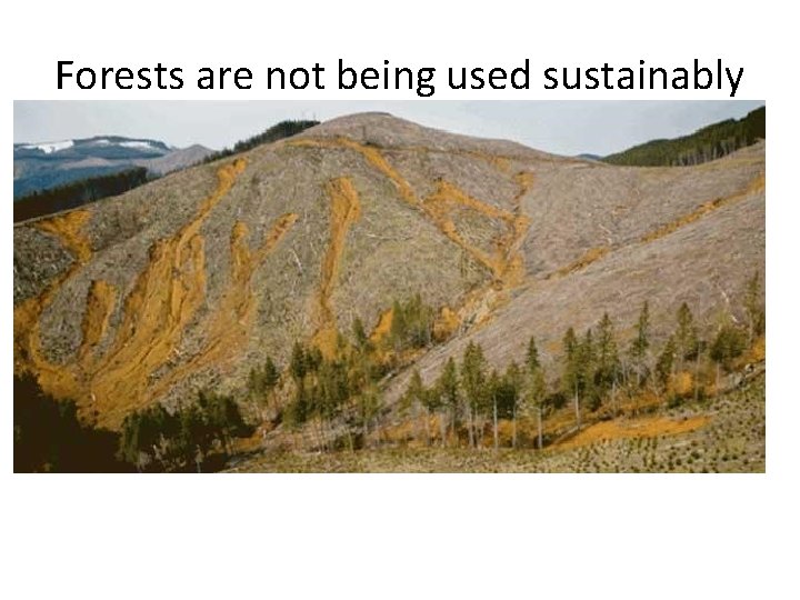 Forests are not being used sustainably 